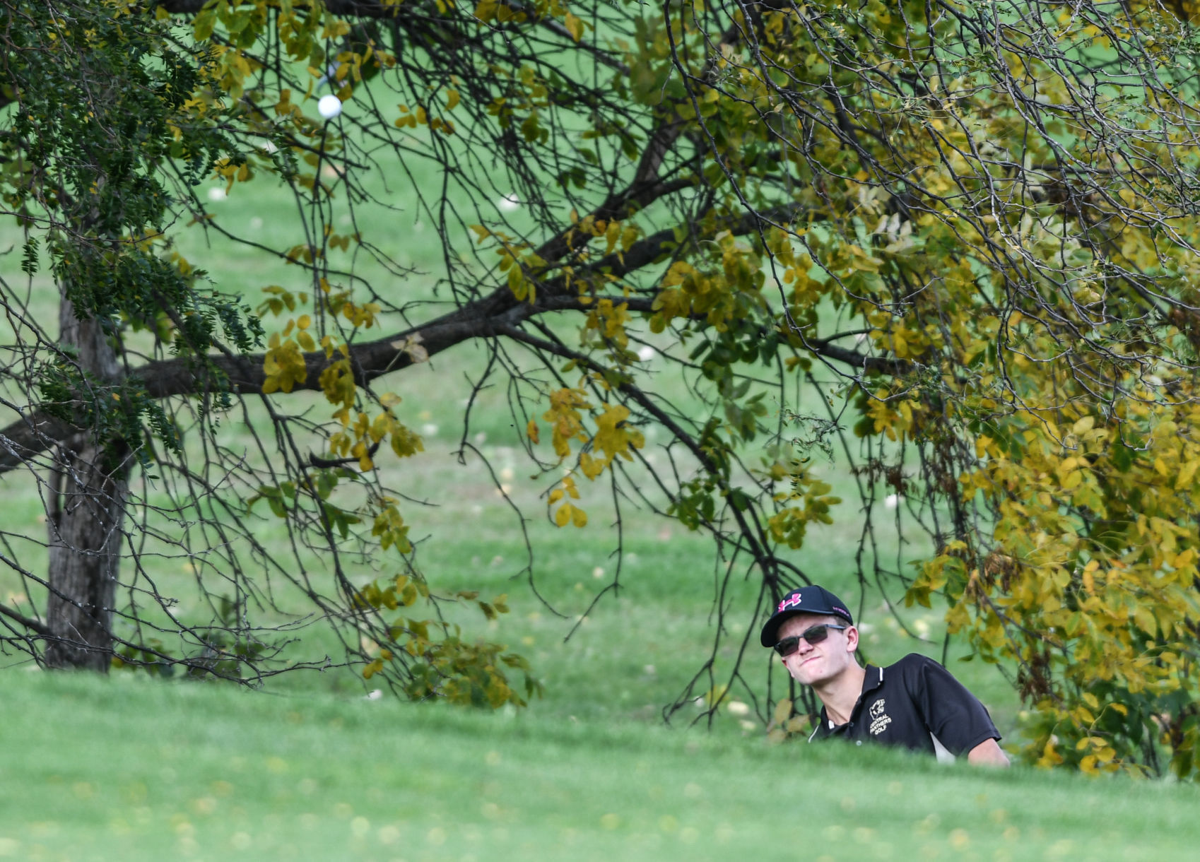 Aledo Class 1A Golf Sectional
